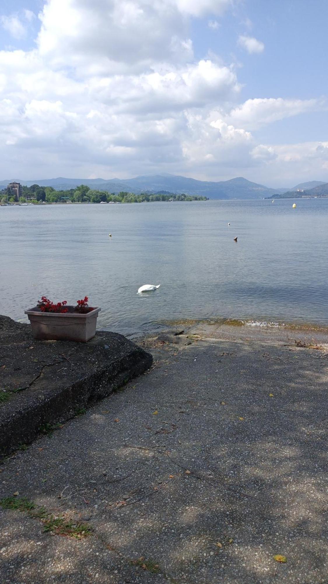 House Benedetta & Gloria On The Lake Castelletto sopra Ticino Εξωτερικό φωτογραφία